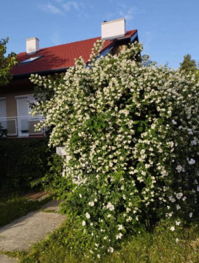 Trivulzio Vendégház - Lazíts egy tündéri városban